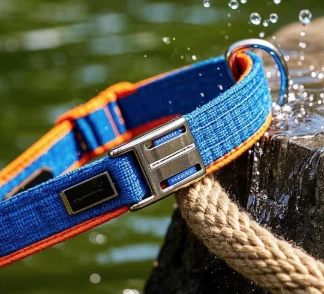 Èske kolye chen Prong legal?