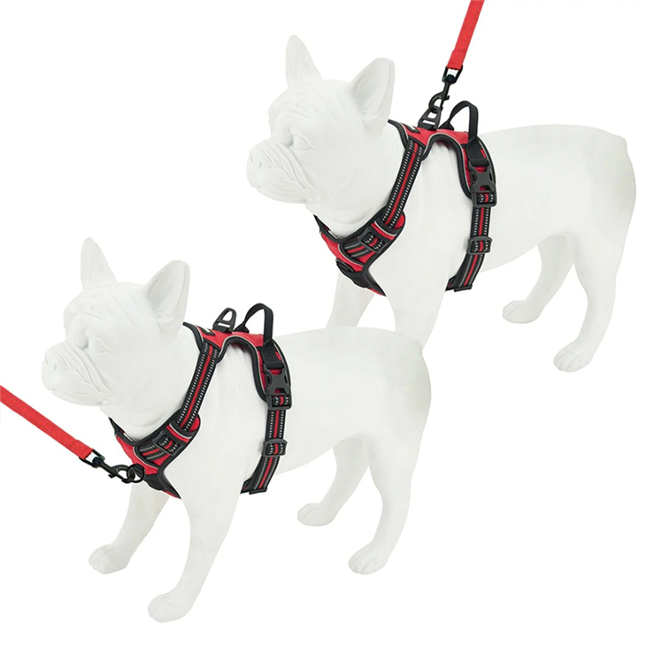 dog harness