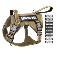 Lou devwa taktik ekipay chen