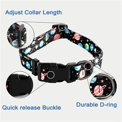 Cheap Dog Collars And Leashes
